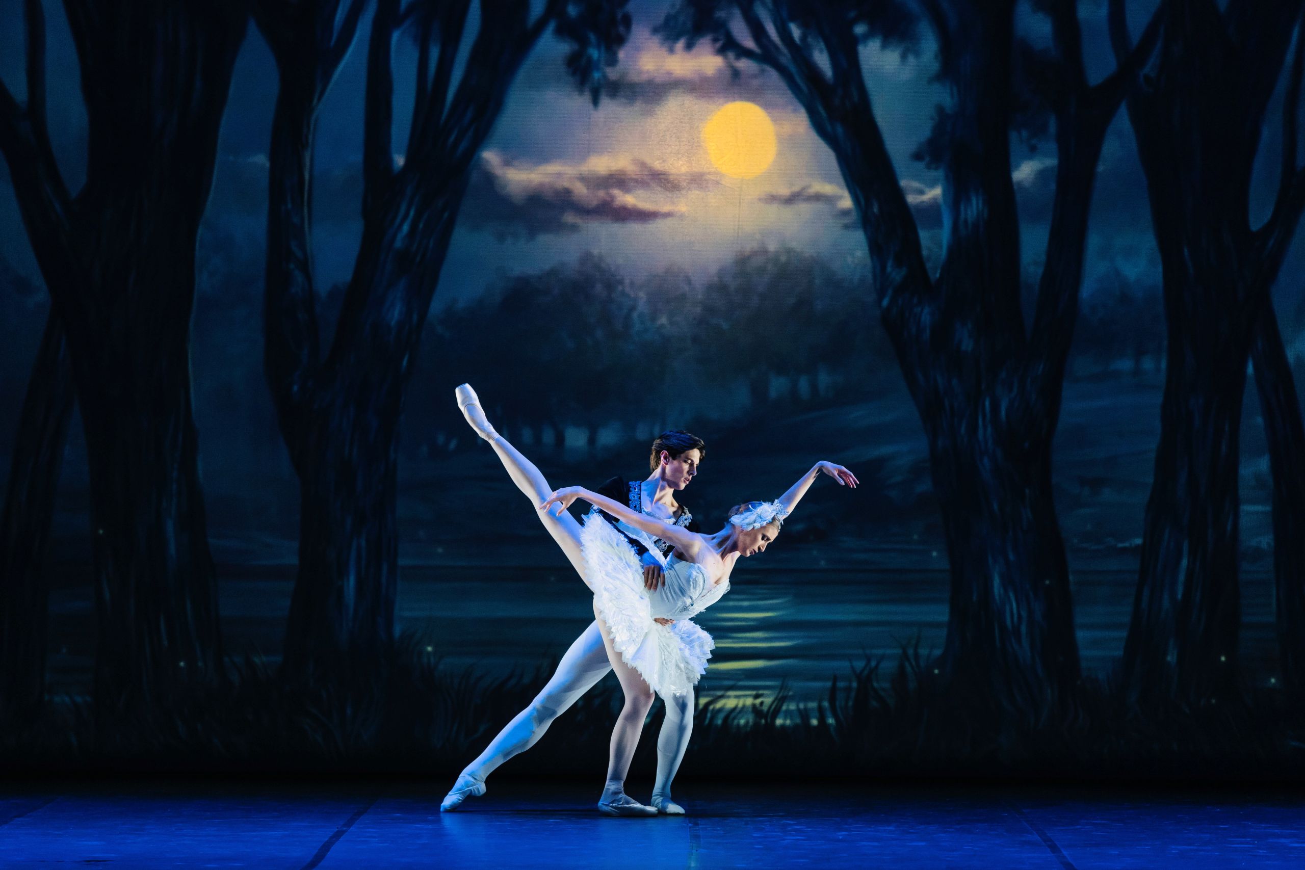 Nouveaux Ballets Russes: Swan Lake