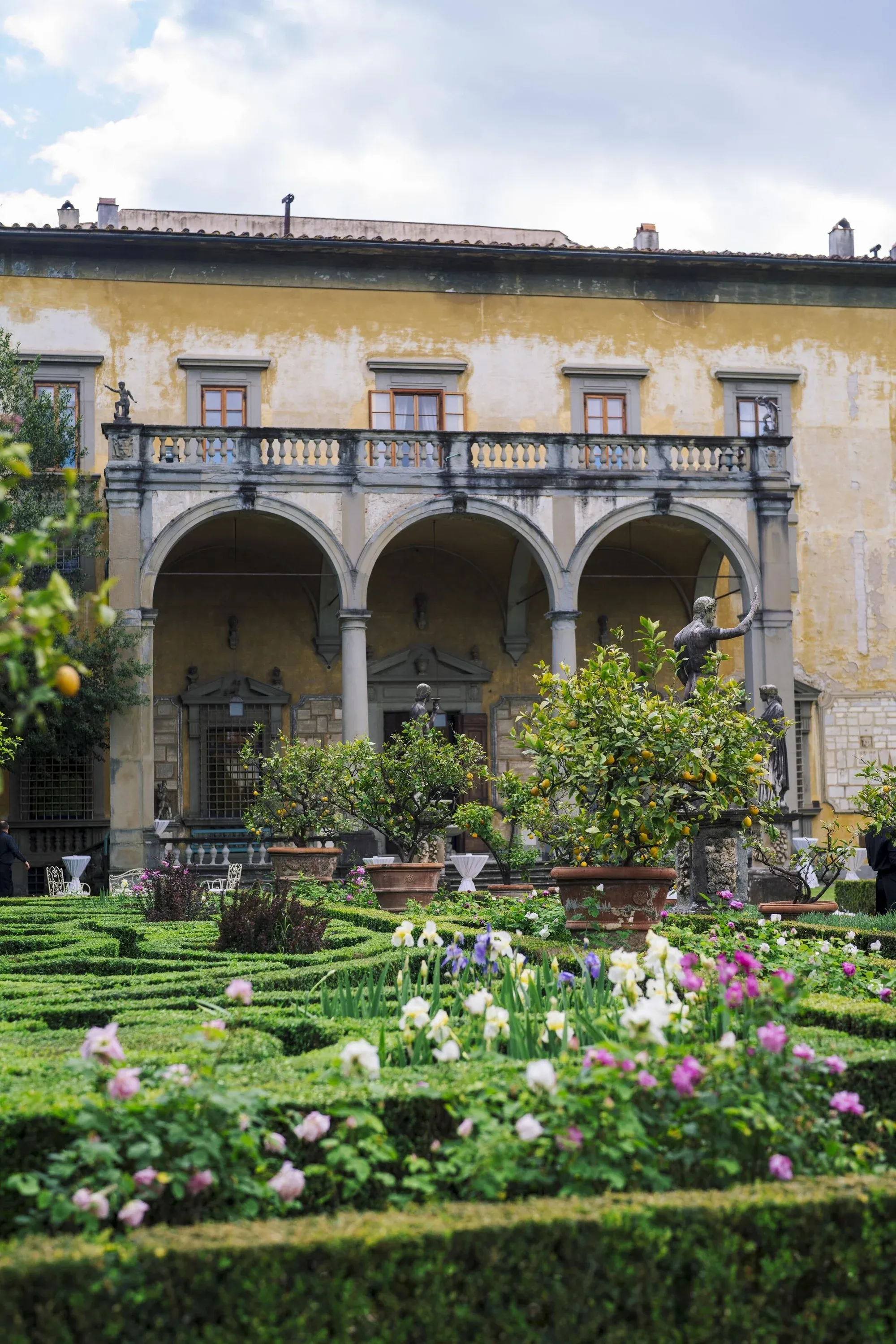 The Venue
